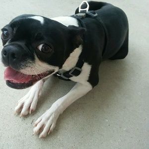 Meet your Posher, Paige